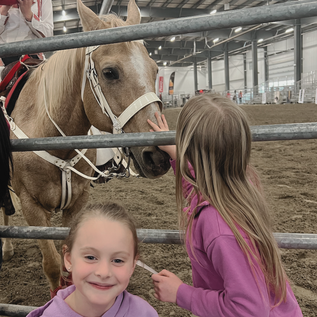 Two young girls are petting a light brown horse through a metal fence inside an indoor riding arena. One girl is touching the horse's face, while the other is smiling at the camera.
