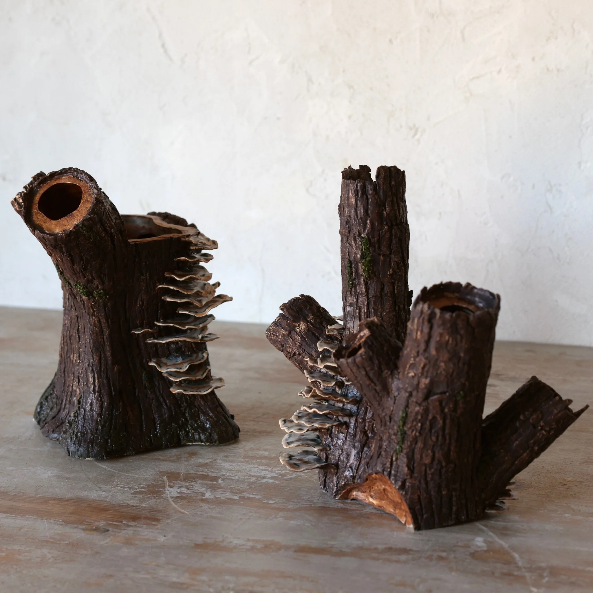 Faux Bark Two Piece Tulipiere with Turkey Tail Mushrooms