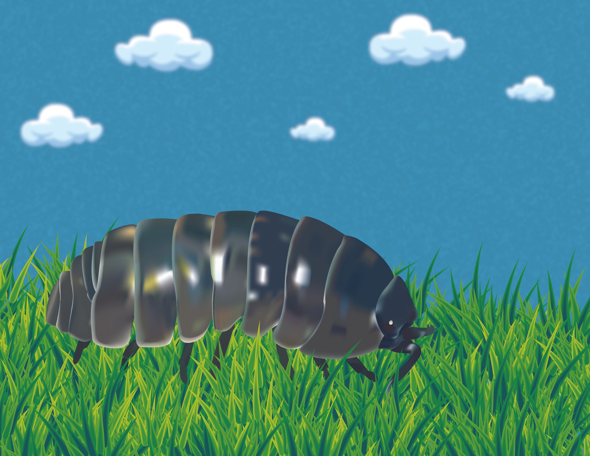Scientific Illustration Roly Poly no name.jpg