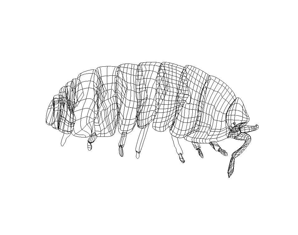 roly poly outline.png