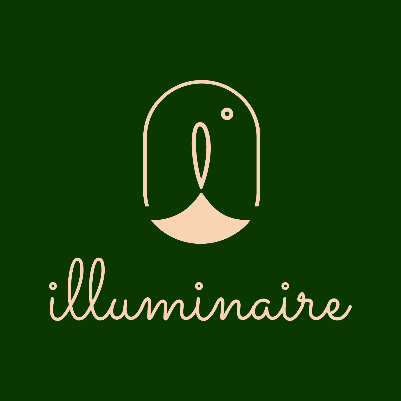 Minimalist logo featuring a stylized bird outline with the word 'illuminair' written below in cursive script, all on a dark green background.