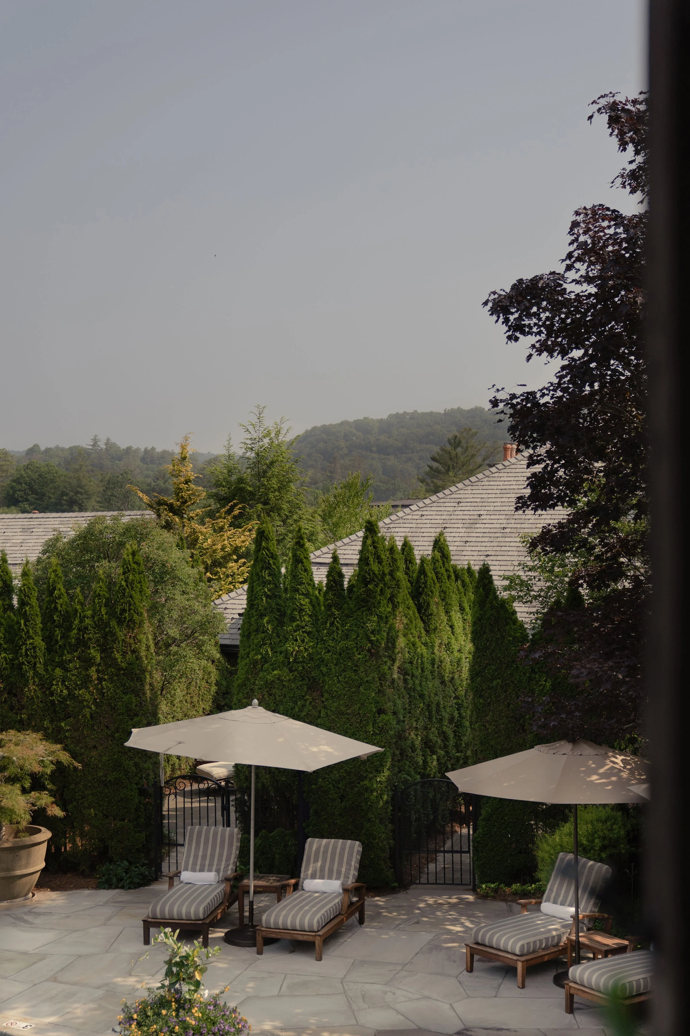 A backyard patio with cushioned lounge chairs, umbrellas, potted plants, and tall green trees in the background, with a view of distant hills and a gray cloudy sky.