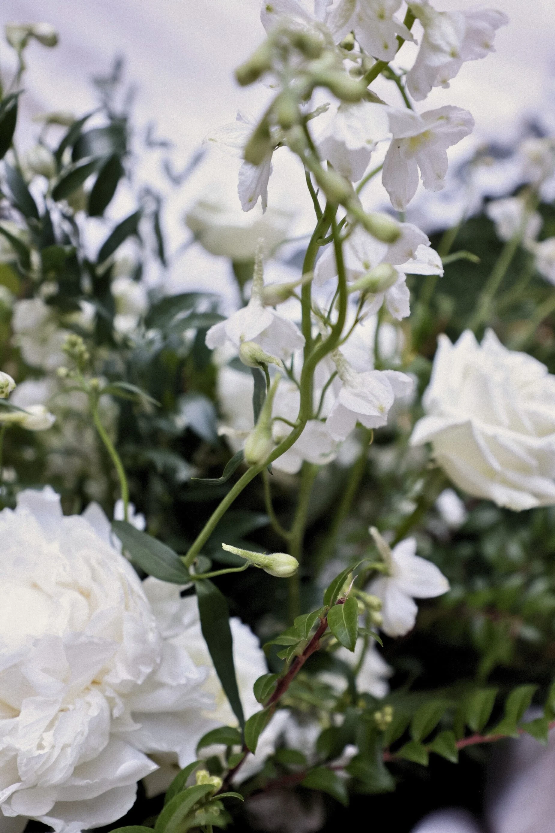 white flowers wedding.jpg