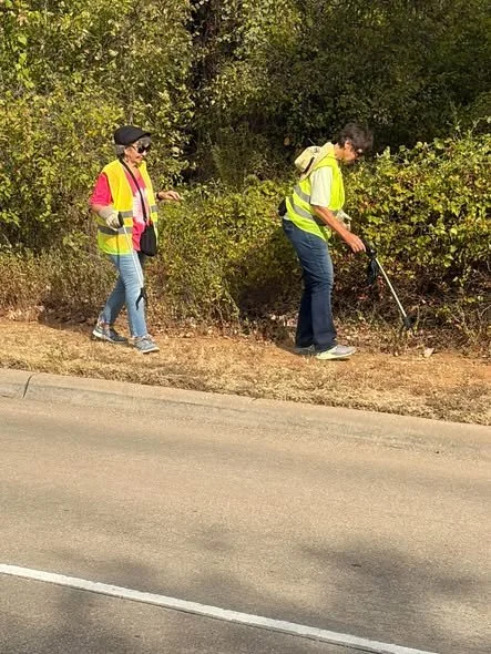 Grapevine Fall Sweep_2_9_26_2026.jpg