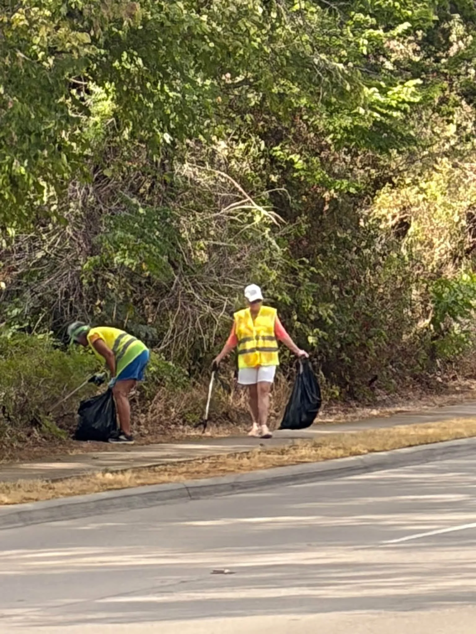 Grapevine Fall Sweep_4_9_26_2026.jpg