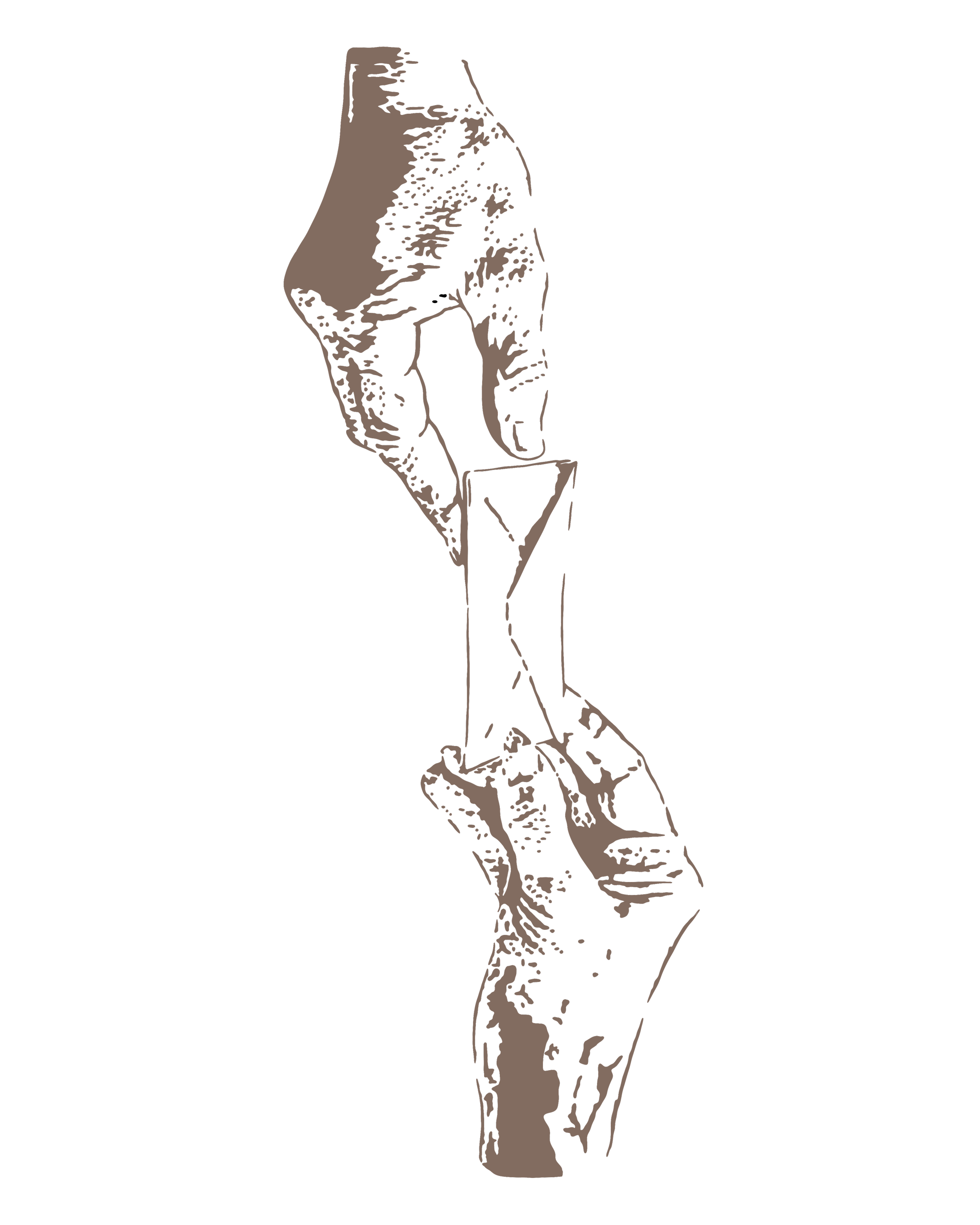 Minimalist illustration of a hand holding a pencil, with a reflection of the same hand below on a black background.