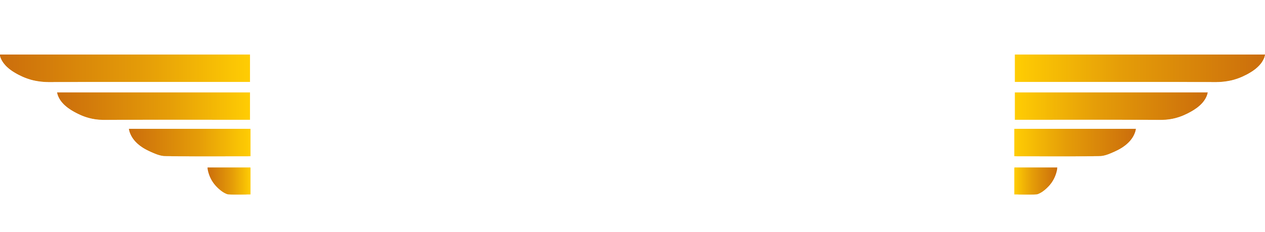 Member of National Association of Flight Instructors