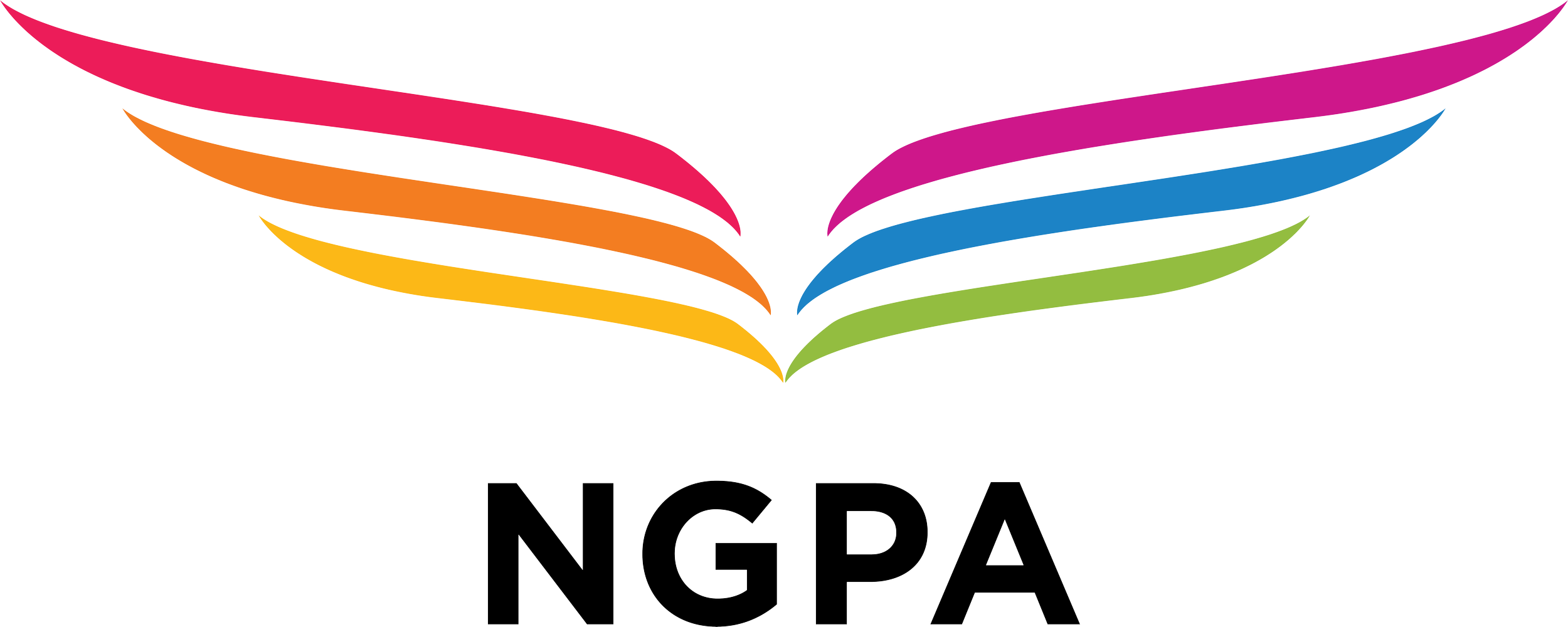 Member of National Gay Pilots Association