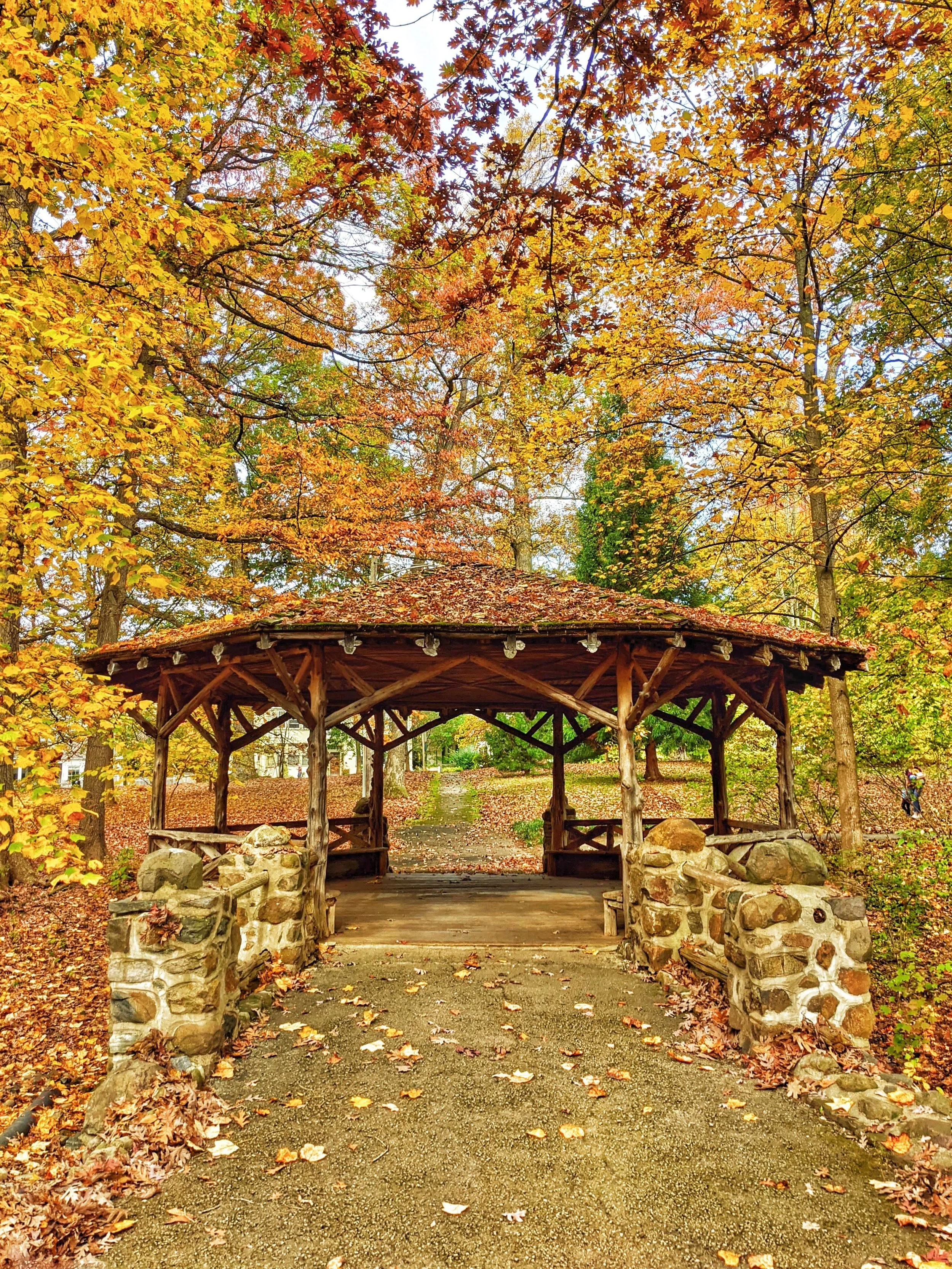 Autumn in Everhart Journal