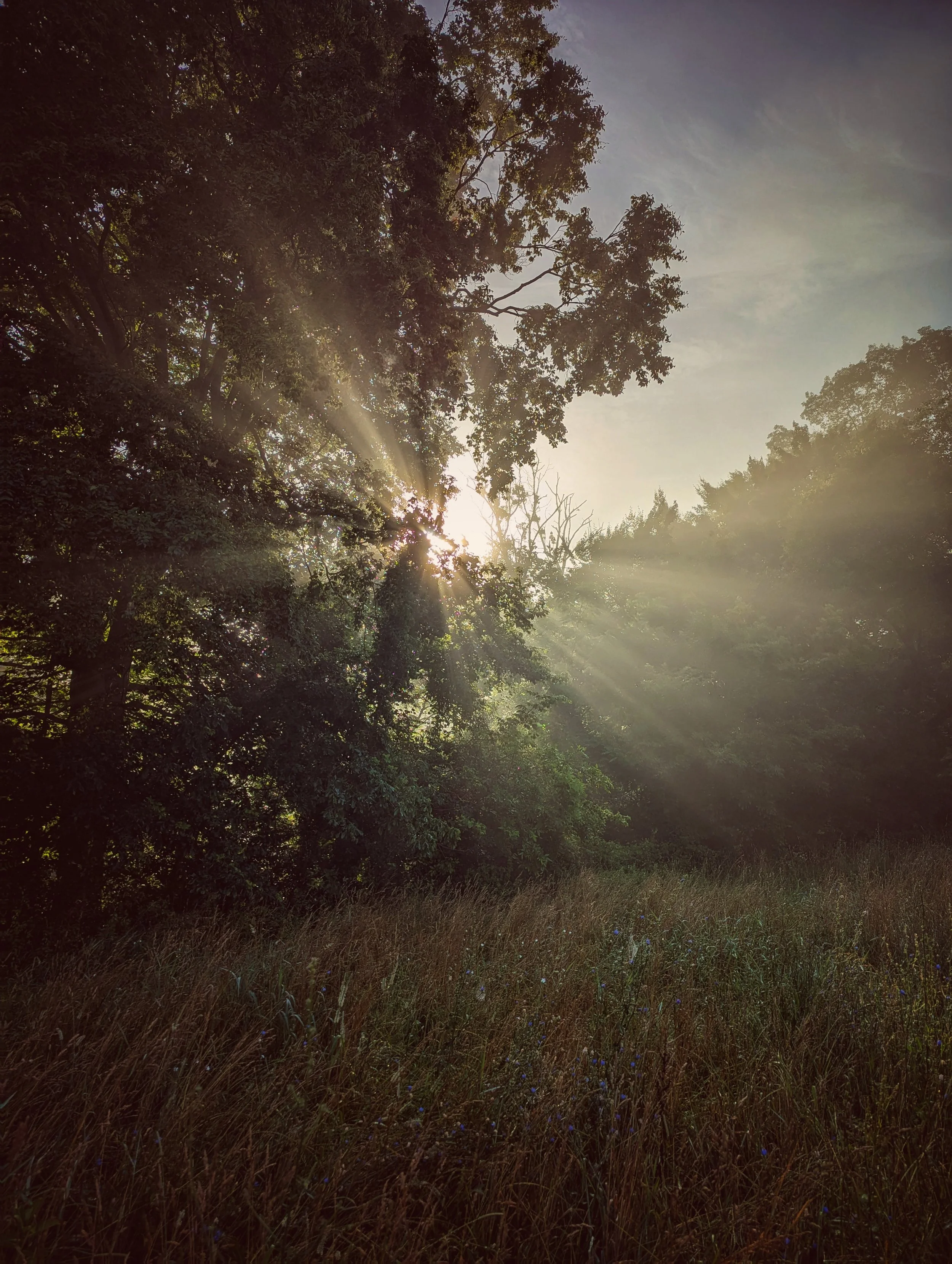Ray of Light 8x10
