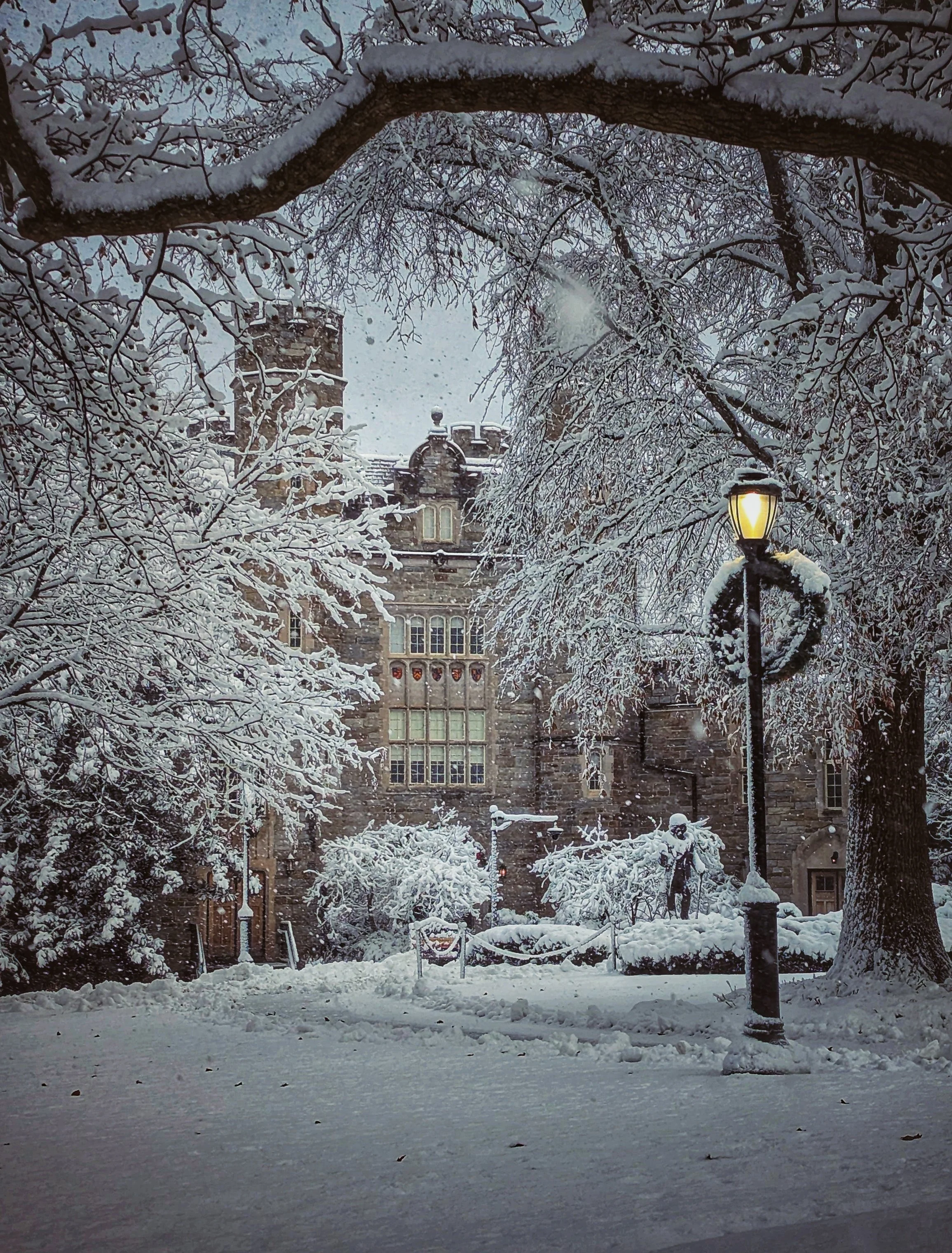 Winter Wonderland 8x10