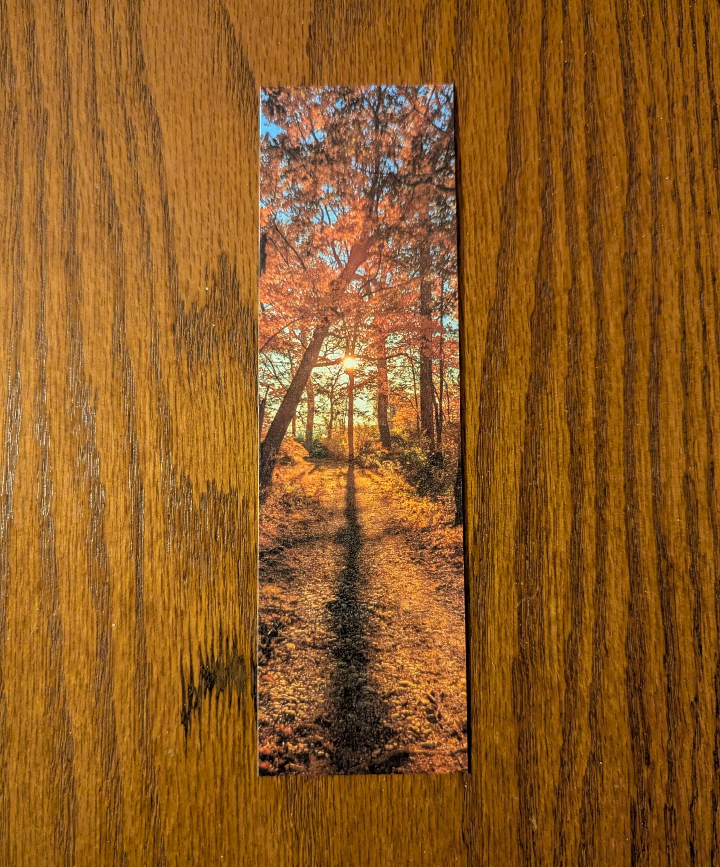 Stroud's Apex Bookmark