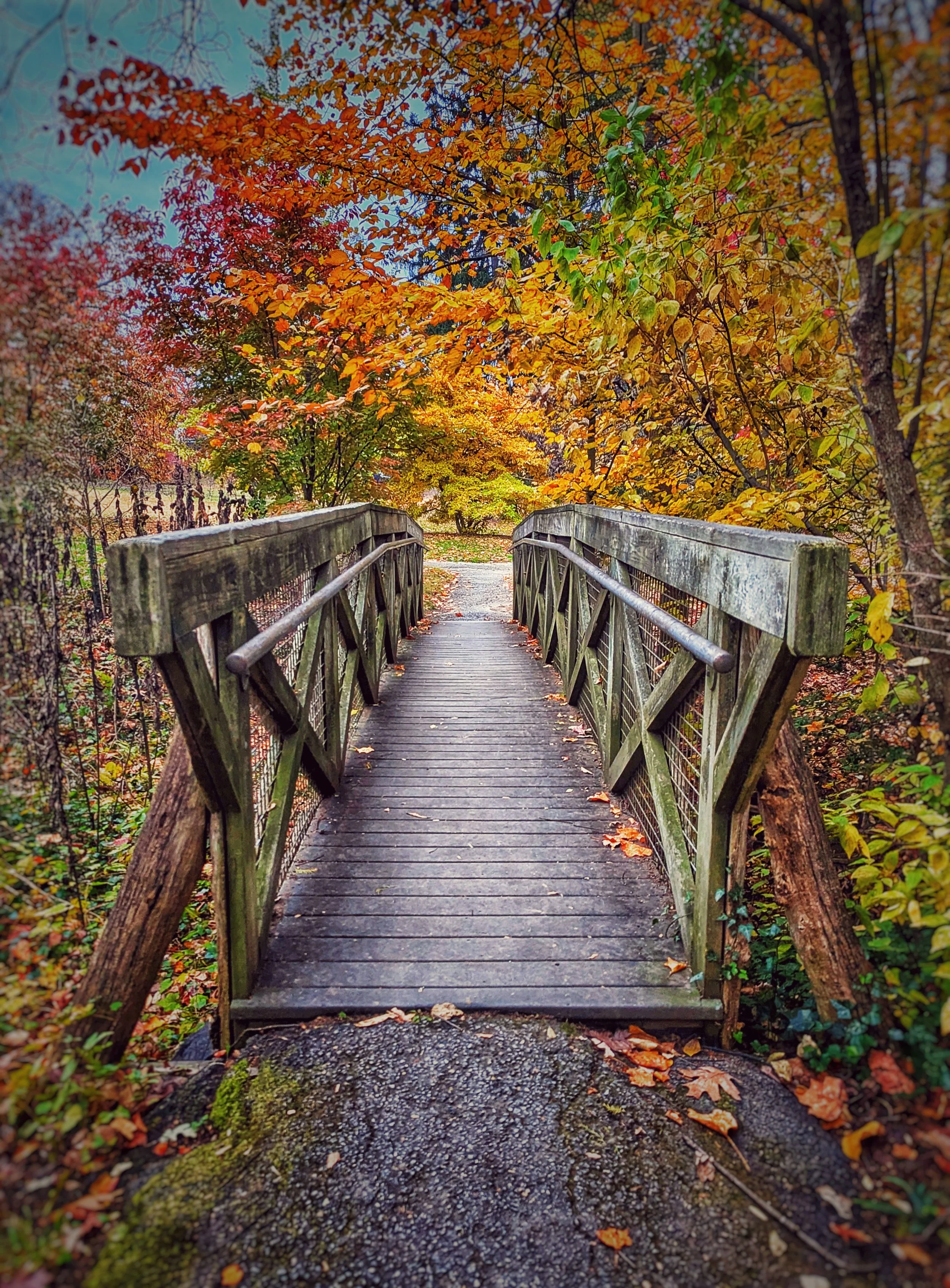 Somewhere Over the Bridge 8x10