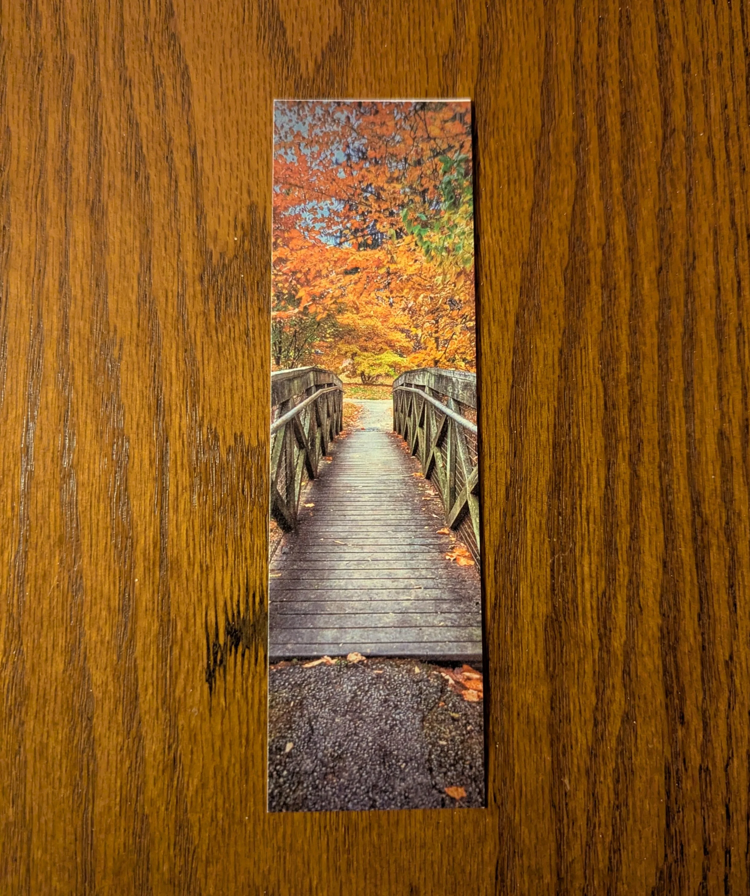 Somewhere Over the Bridge Bookmark