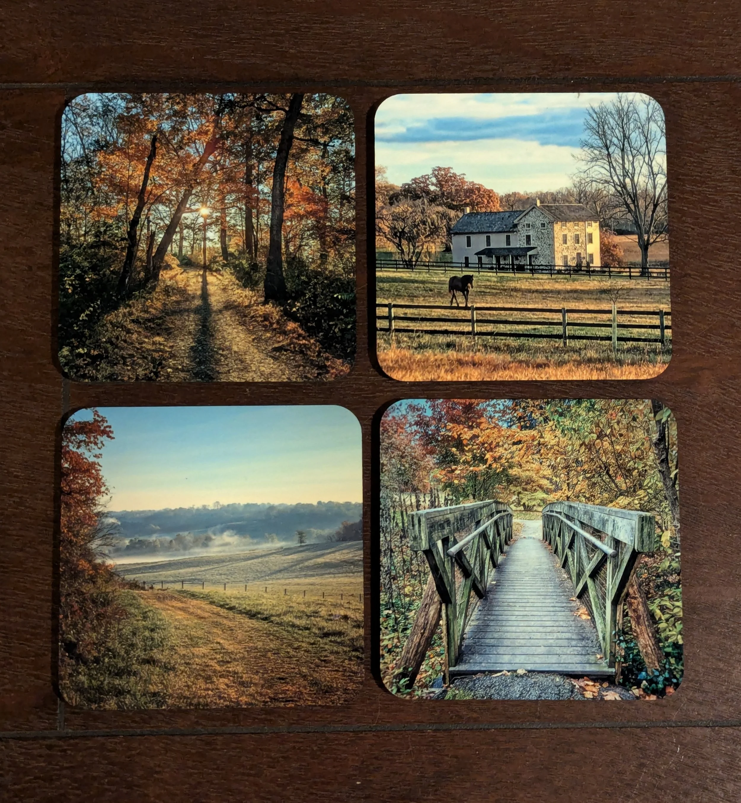 Chester County Coaster Set