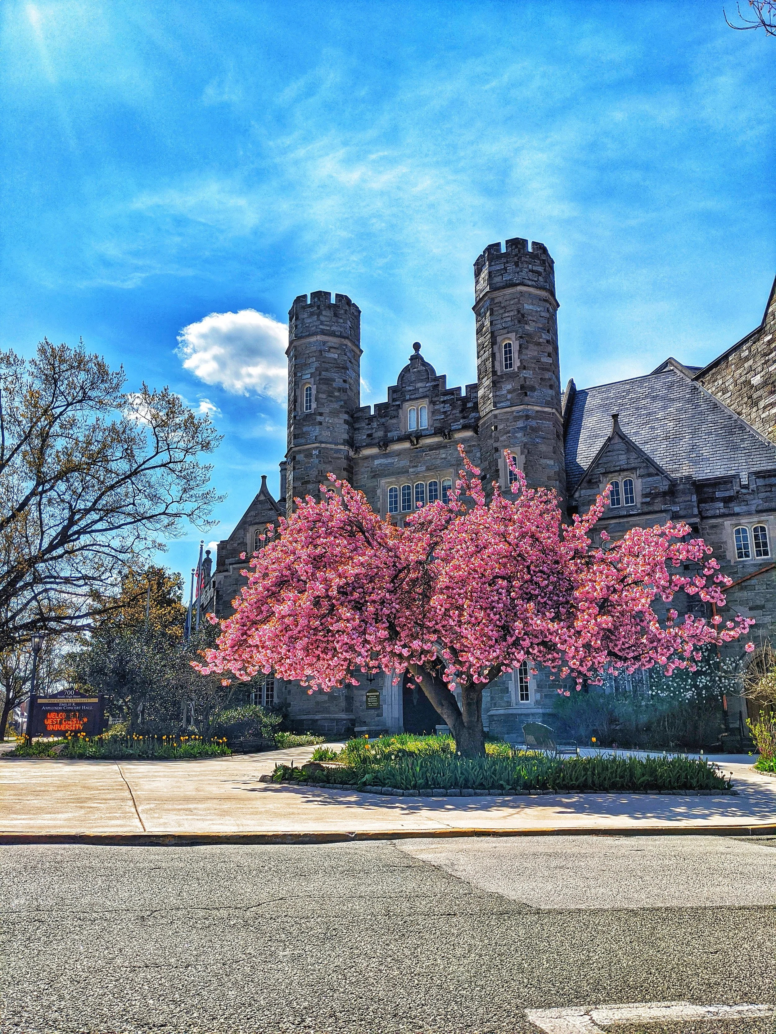 It's Always Sunny Over Philips 12x12 Canvas