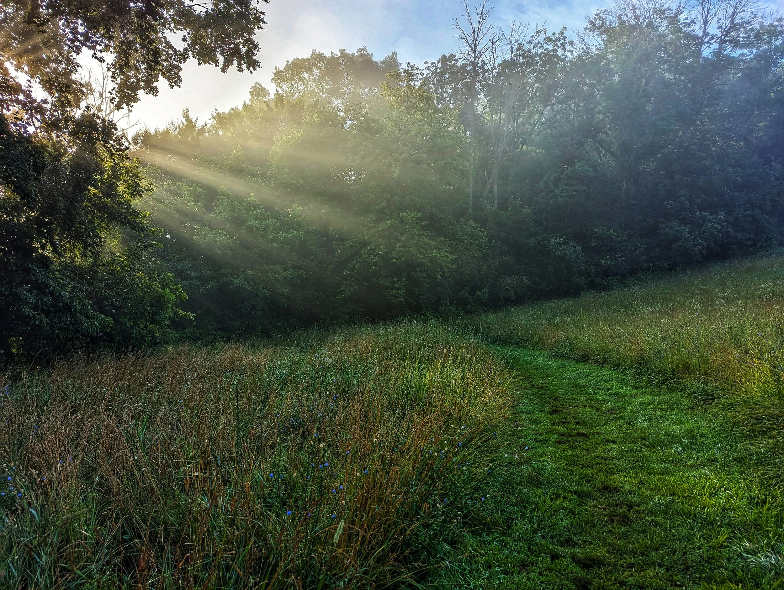 Illuminated Path 8x10