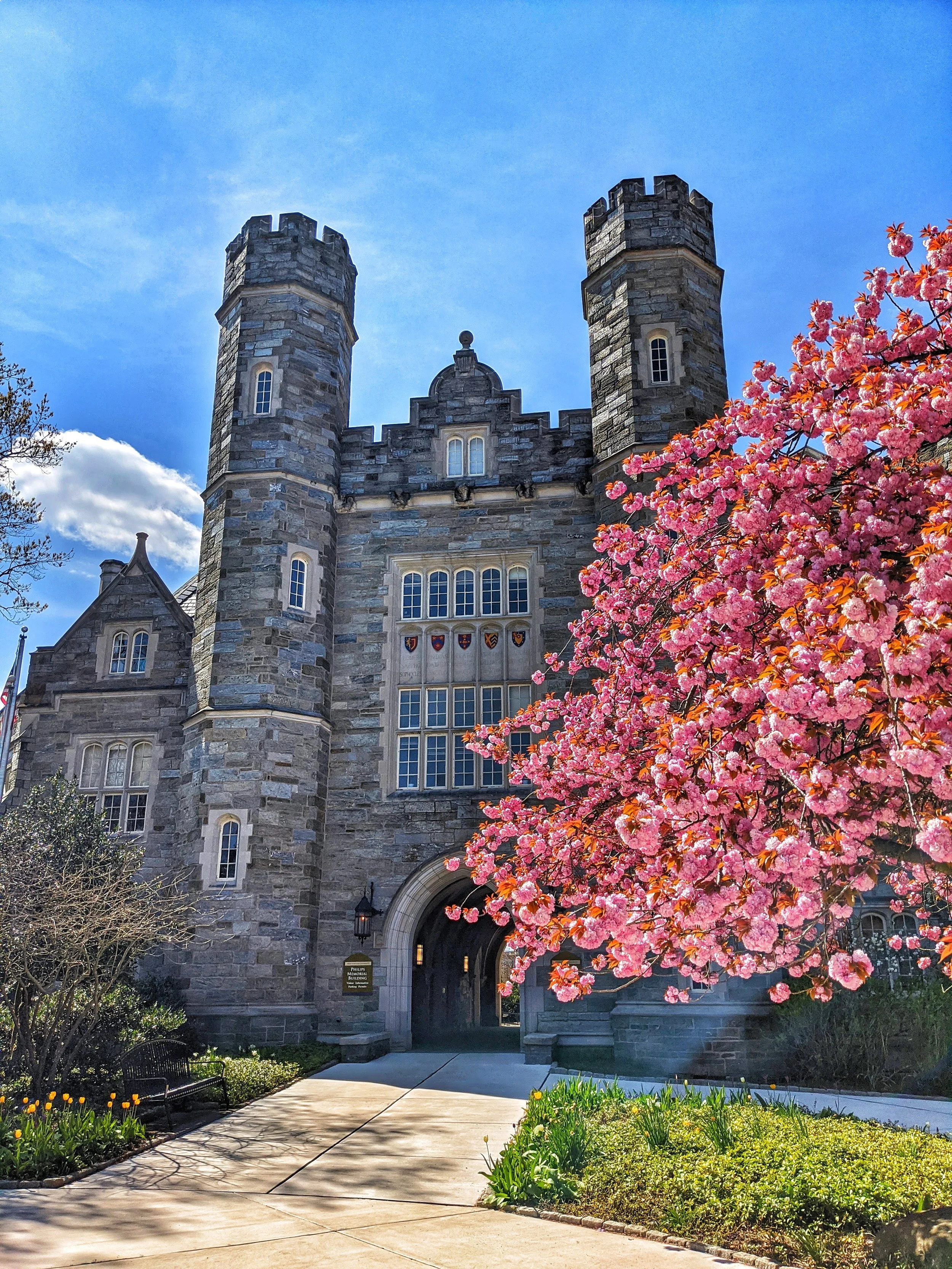 Philips in Spring Magnet