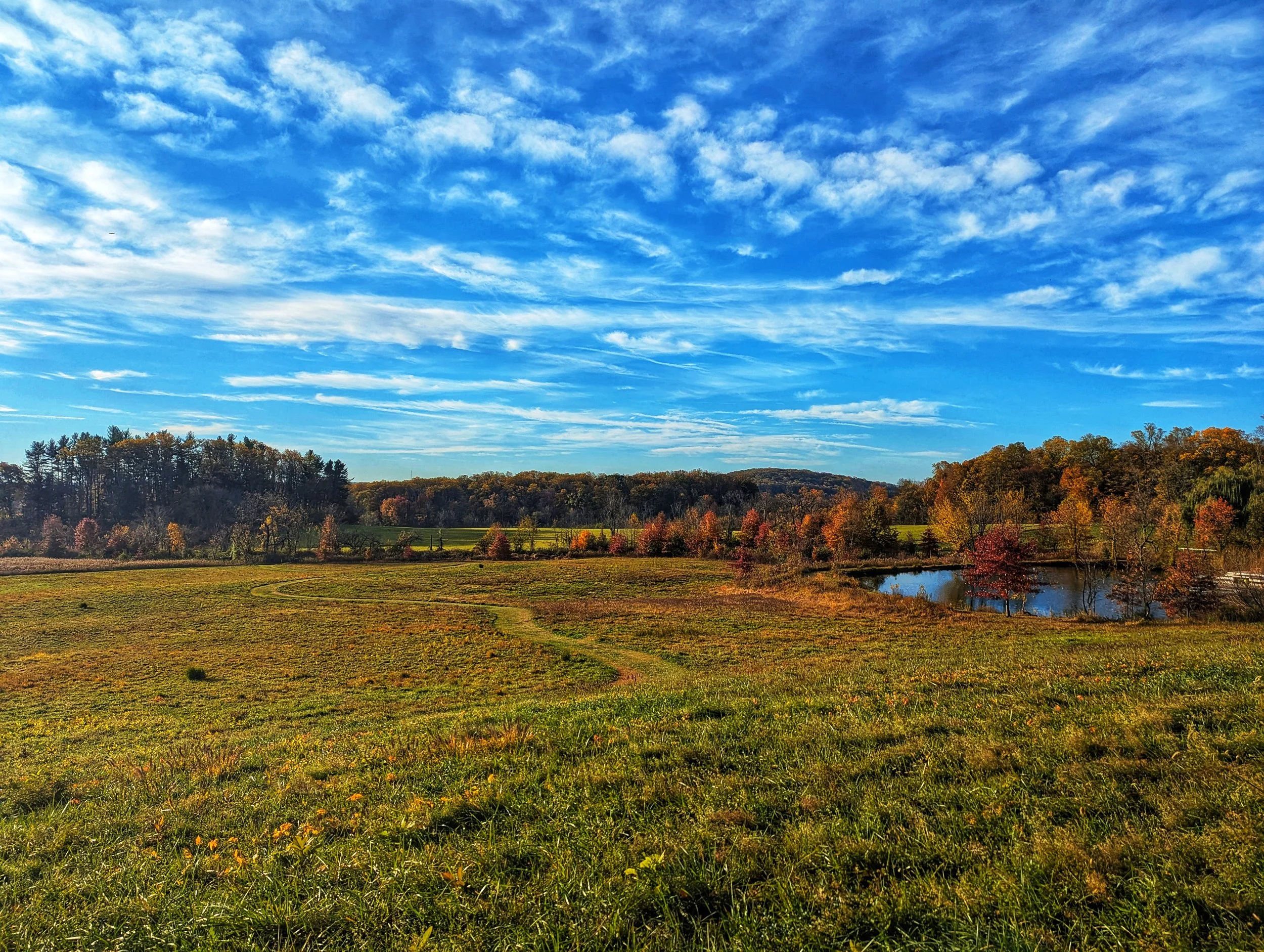 As Far As the Eye Can See 8x10