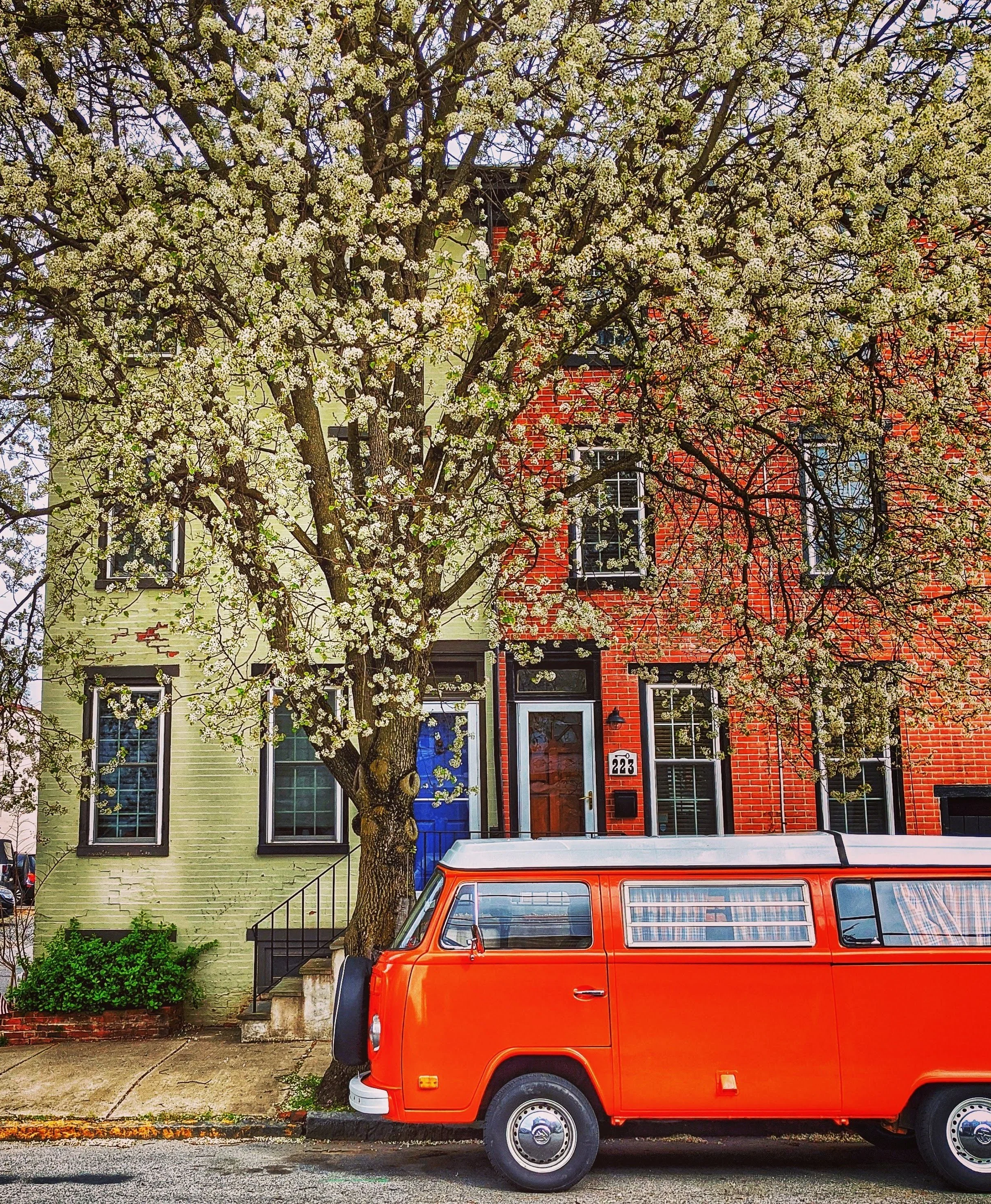 Spring VW Bus on Biddle 8x10