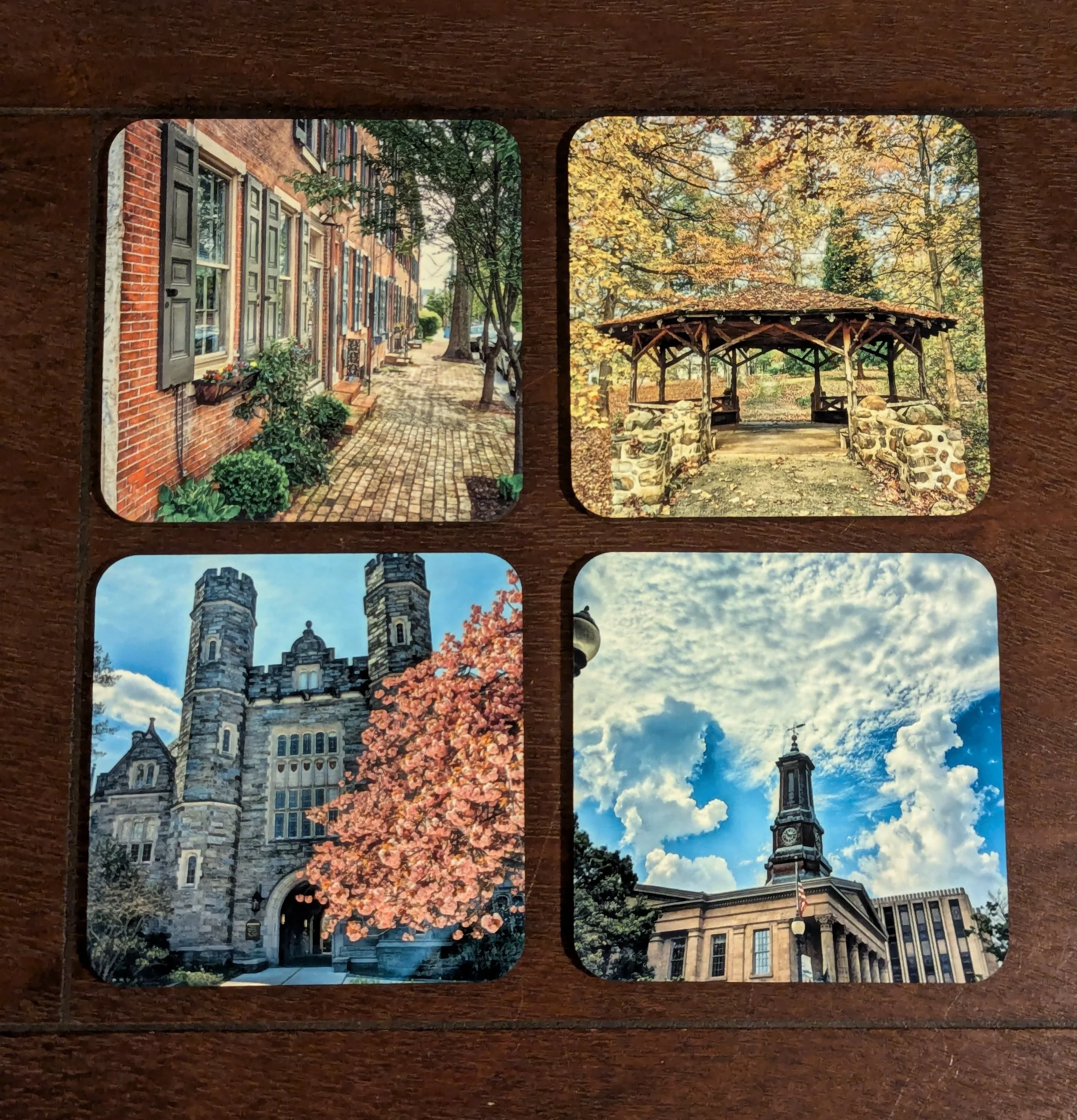 Variety Coaster Set
