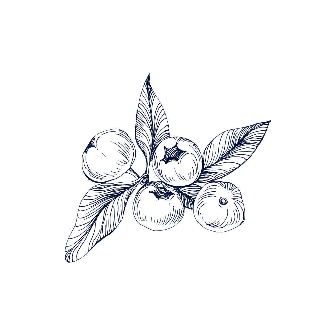 A dark, line-art illustration of a cluster of blueberries with leaves on a black background.