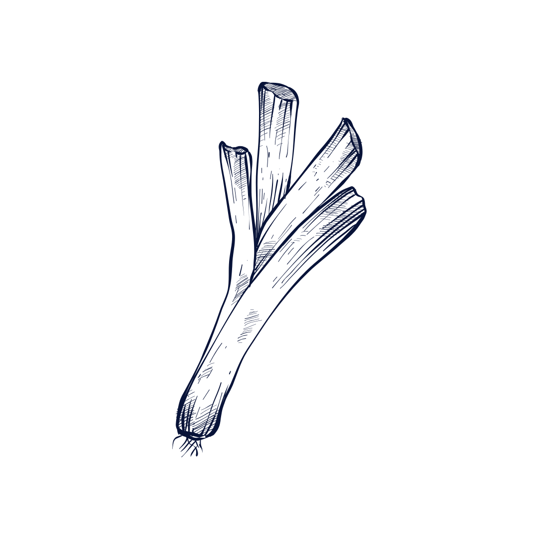 Line drawing of a bunch of green onions or scallions.