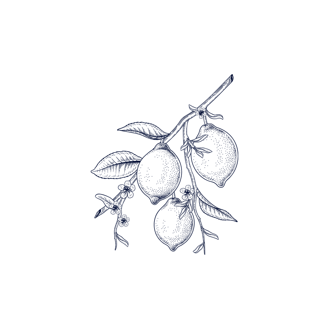 Illustration of lemons.