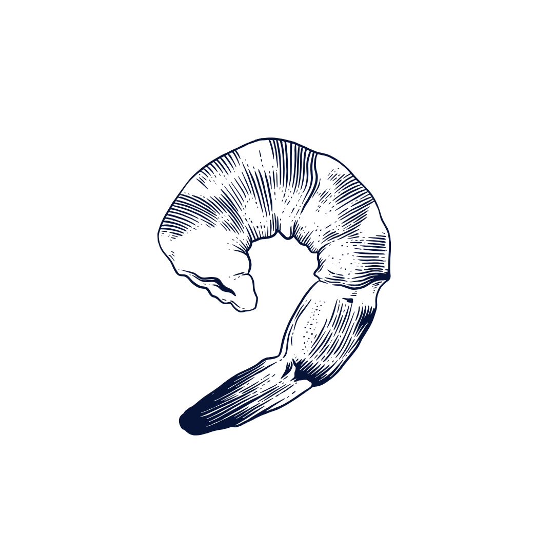 Illustration of shrimp.