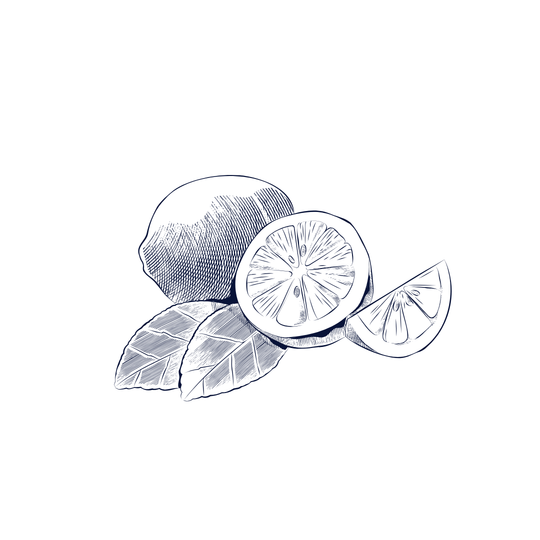 Line drawing of a lemon, lemon slice, lemon wedge, and lemon leaves.