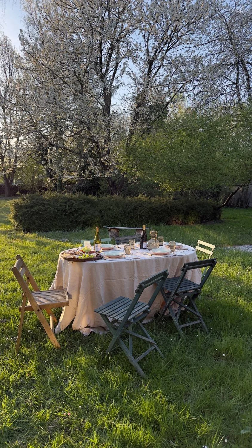 An outdoor dining table set for a meal in a grassy garden surrounded by trees, with a backdrop of blooming trees and a clear sky.