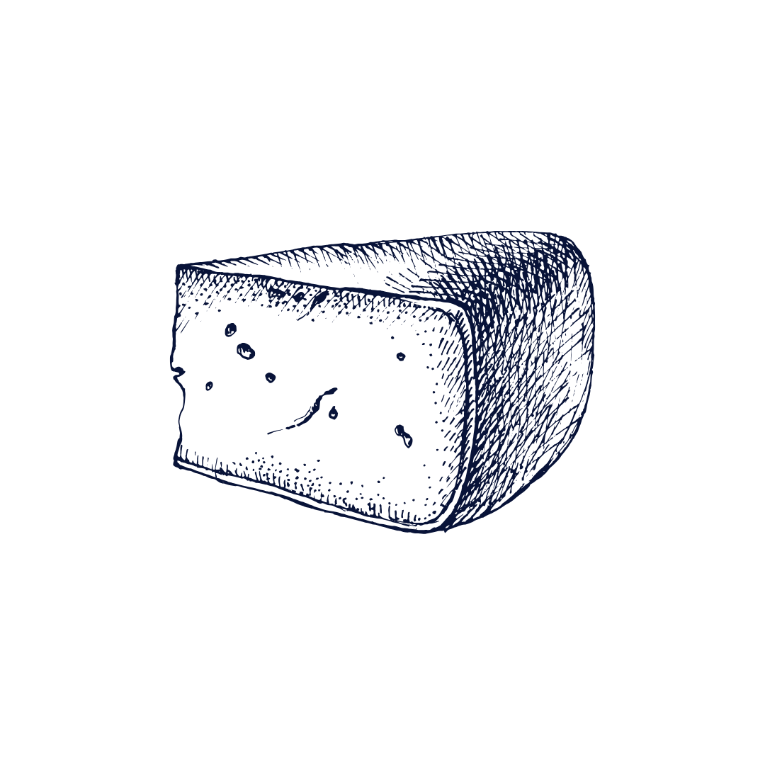 Illustration of local cheese.