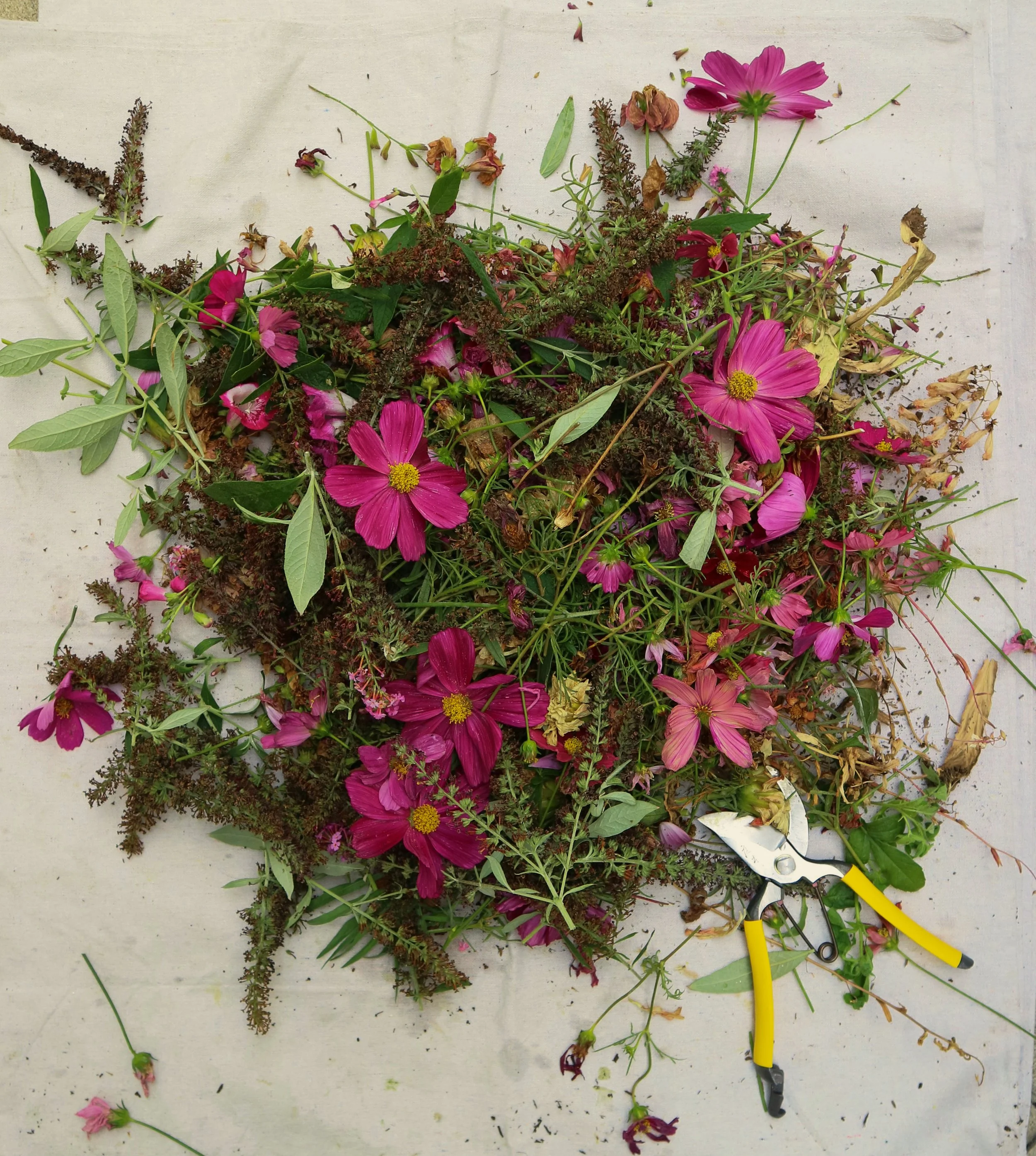 What to expect after planting 