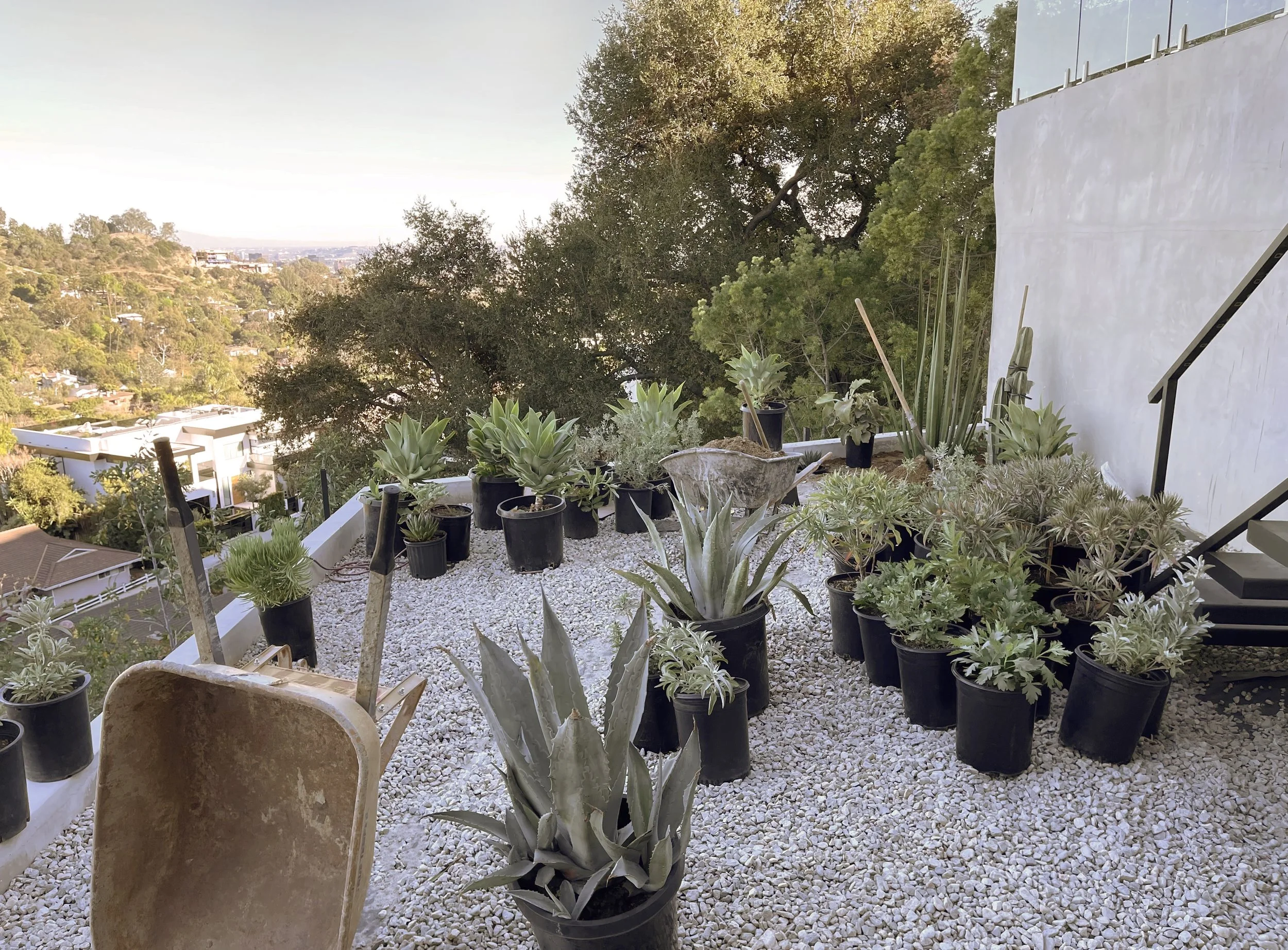 Planting tips 
