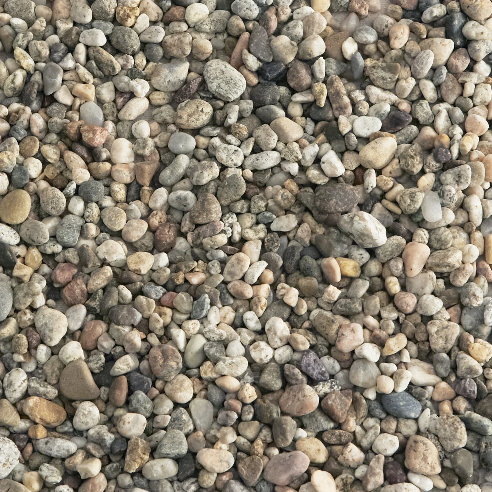 Riverbed