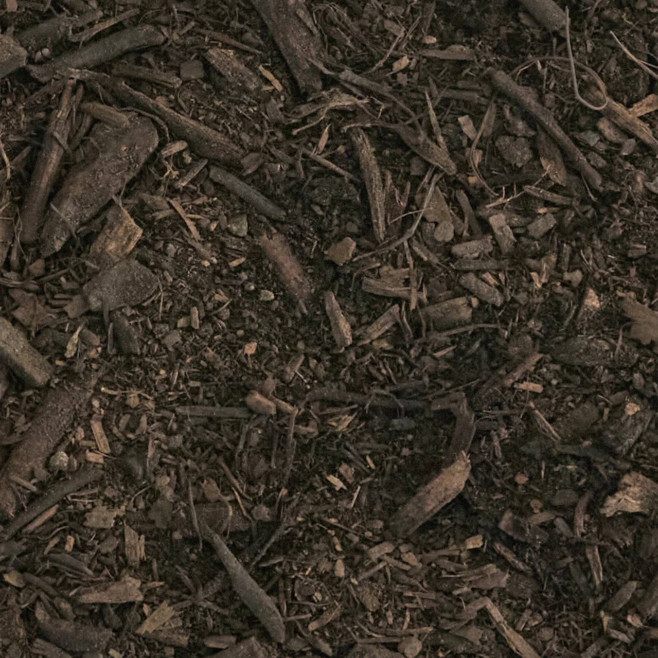 Woodland
