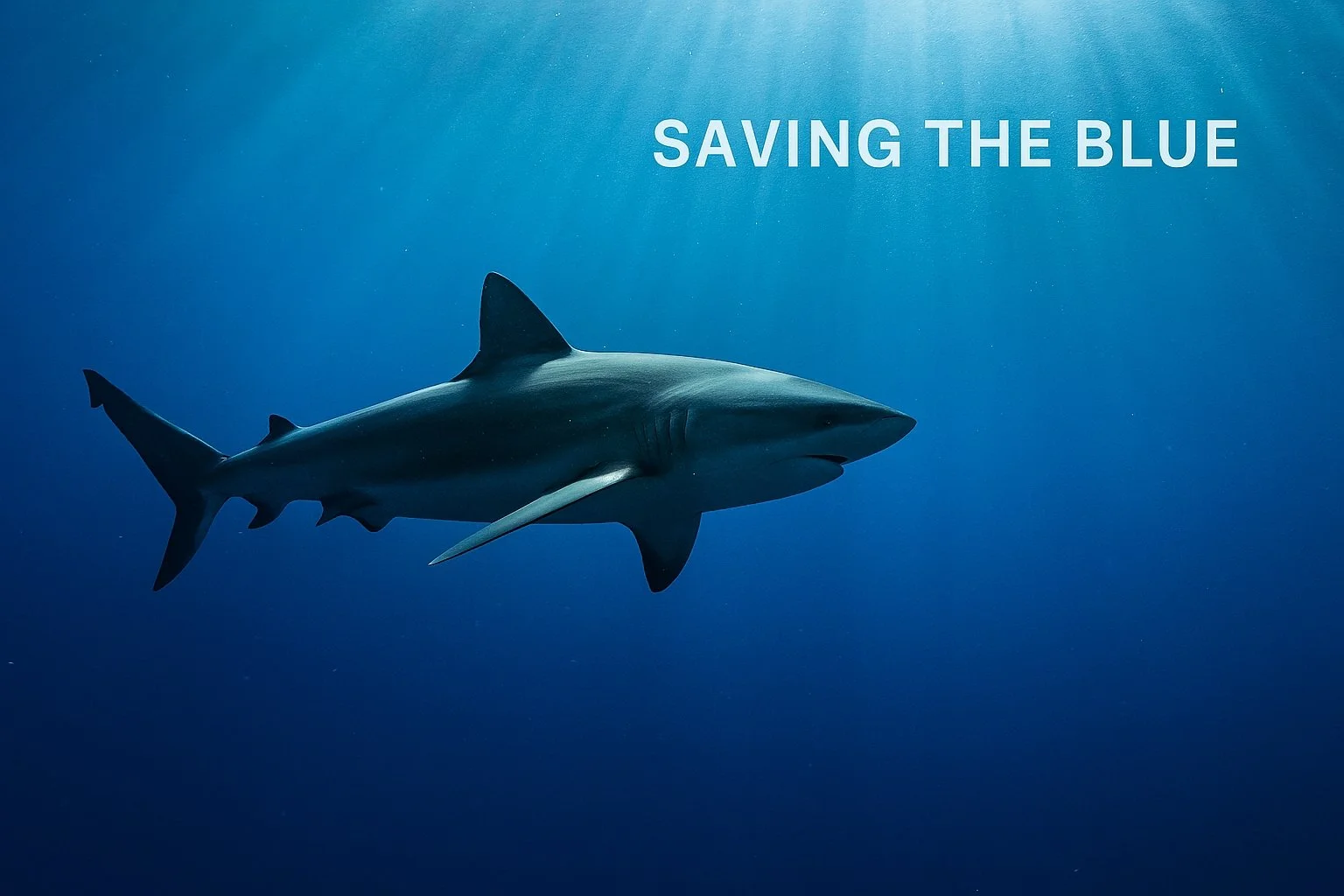 Saving the Blue: Restoring Our Oceans