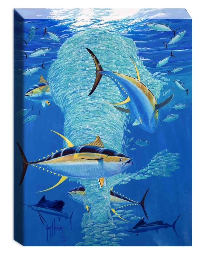 Dr. Guy Harvey