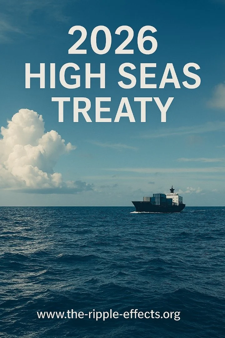 A ship traveling across the open ocean, representing the international waters governed by the 2026 High Seas Treaty.
