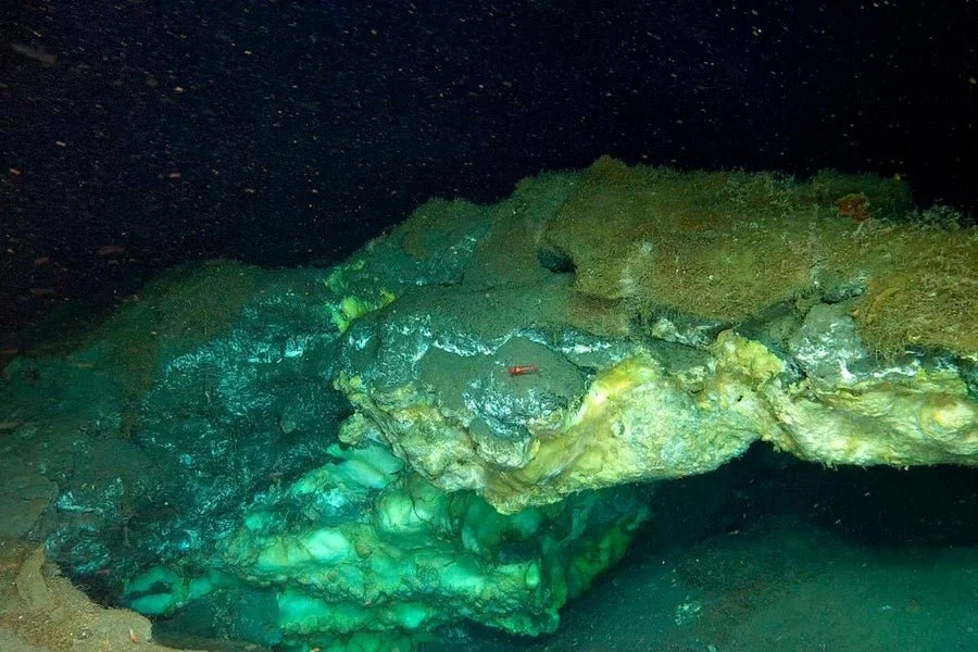 methane frozen reef