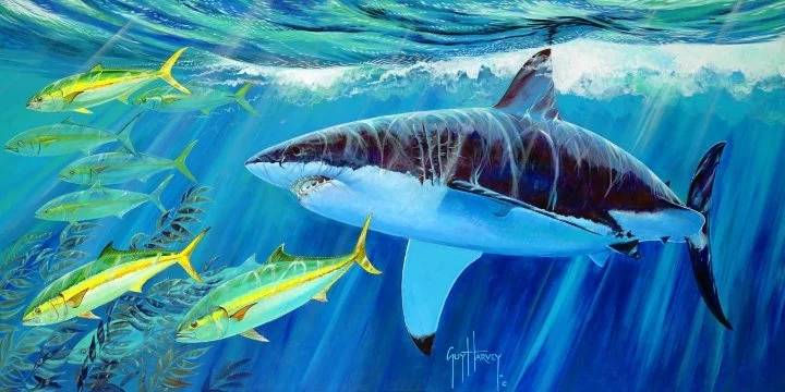 Guy Harvey painting of a great white shark swimming through a vibrant blue ocean with yellow and green reef fish, used to illustrate marine conservation and shark research.