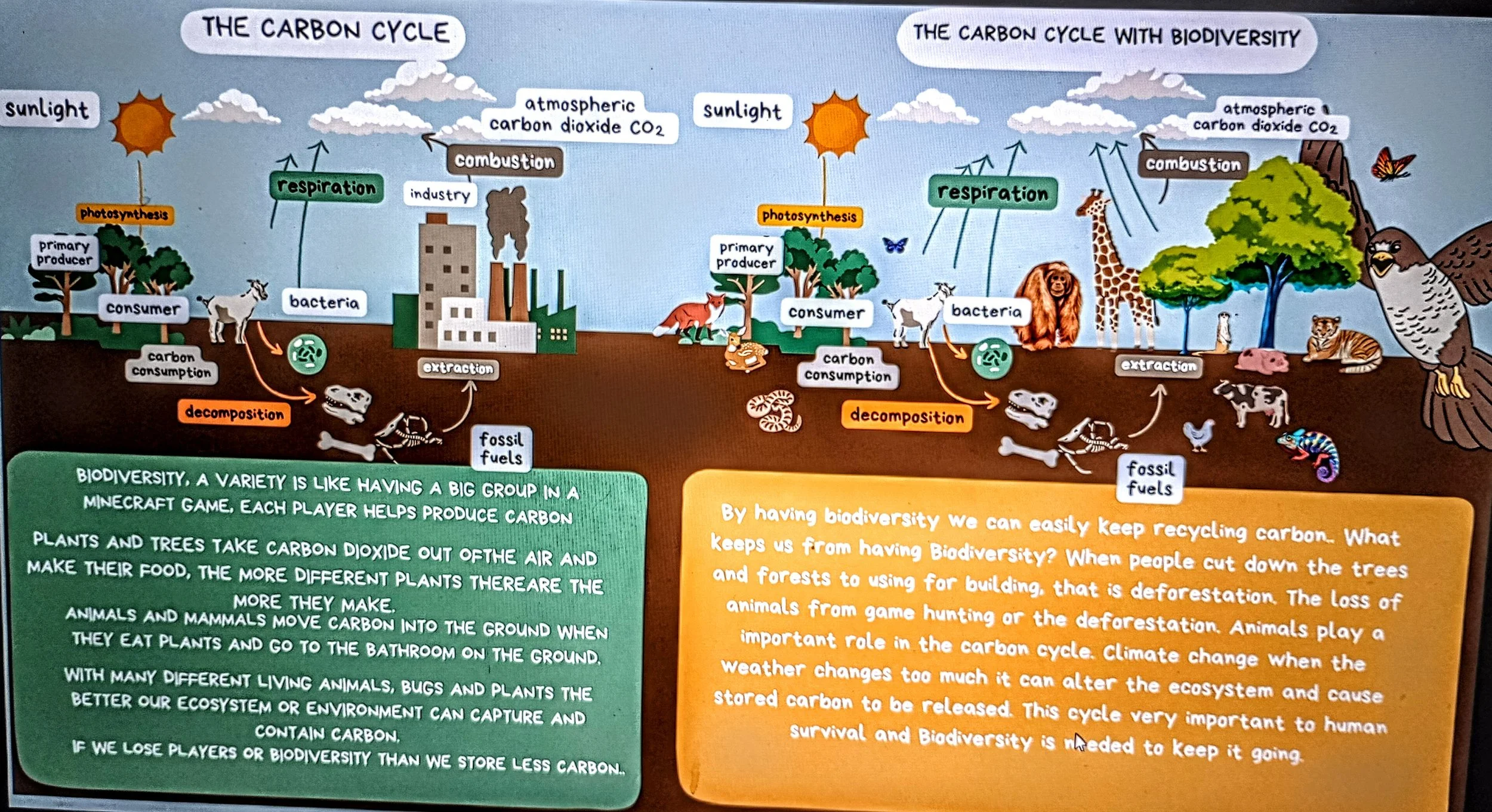 making a diagram of The Carbon Cycle for elementary school kids and explain The Carbon Cycle