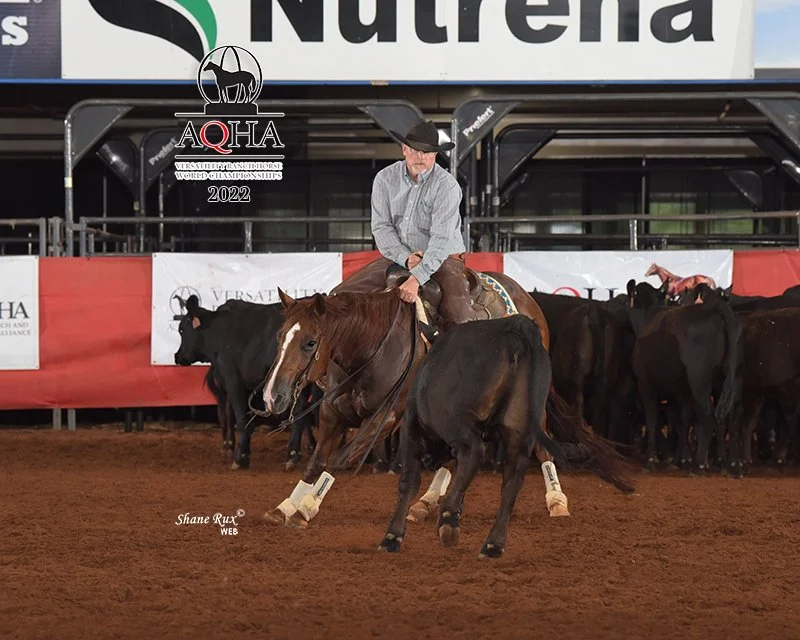 A cowboy riding a cutting horse at the Lazy E Arena, with cattle in the background.