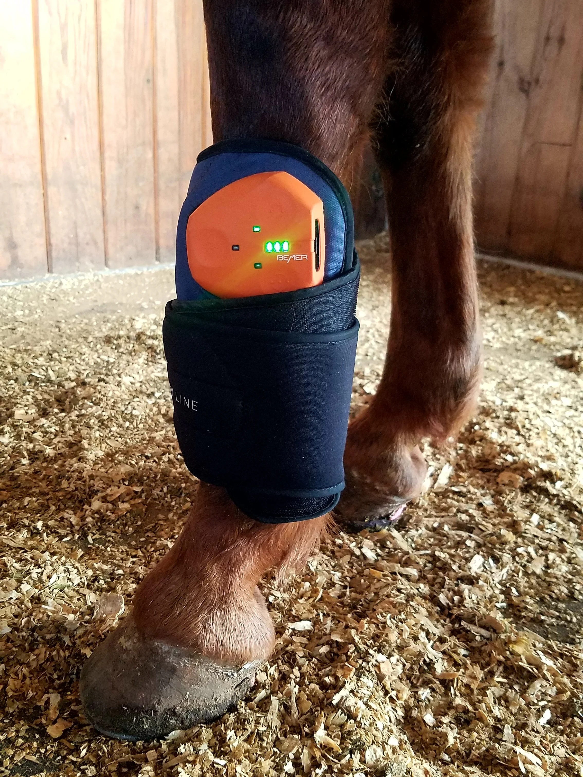 Close-up of a horse's leg with a BEMER cuff, emitting green power lights, inside a wooden barn with wood walls and a dirt floor.