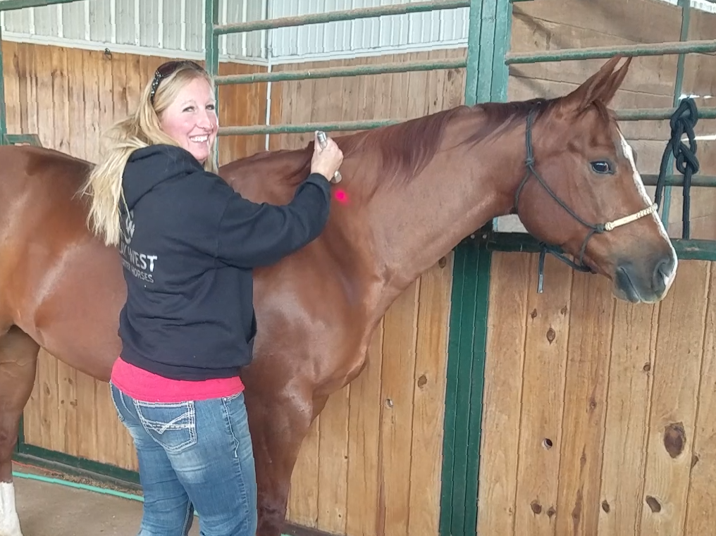 A woman in a black hoodie and jeans is standing next to a sorrel horse inside a wooden stable. The woman is smiling and using a photonic torch to work on the horse.