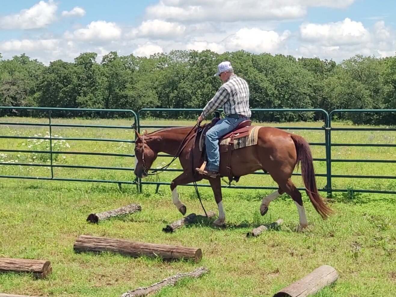 A man riding a horse over wooden logs in a grassy field, with a green fence and trees in the background under a partly cloudy sky.