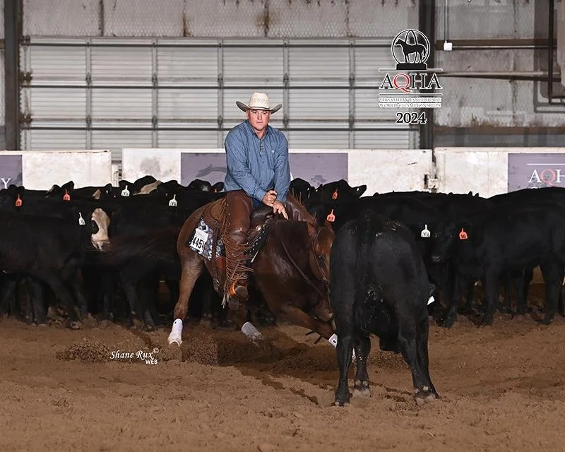 A cowboy wearing a cowboy hat and blue shirt horseback riding in an indoor arena, cutting black and white cattle in an AQHA World Show event.