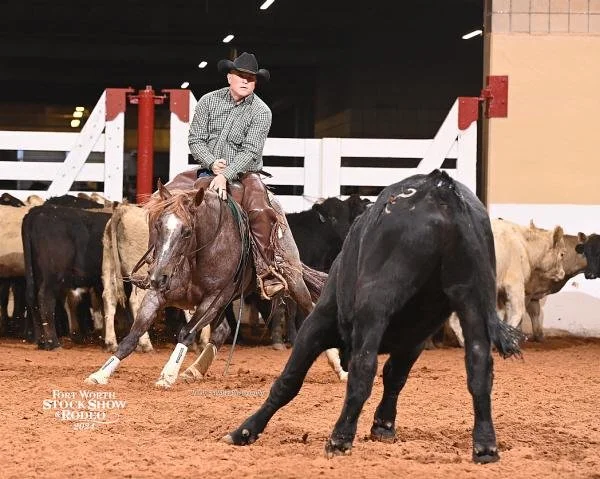 A cowboy riding a red roan horse in an indoor arena, competing in a cutting horse event with a black calf.