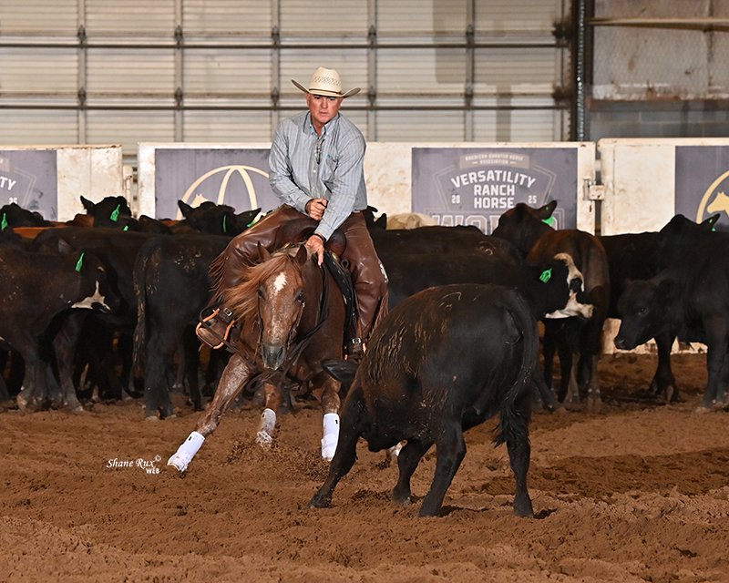 A cowboy in a plaid shirt, jeans, and a black hat rides a cutting horse. The arena ground is sandy, with several cattle standing behind the rider. Banners and signs for 'Cutters in Cowtown' and USCHA are visible in the background.