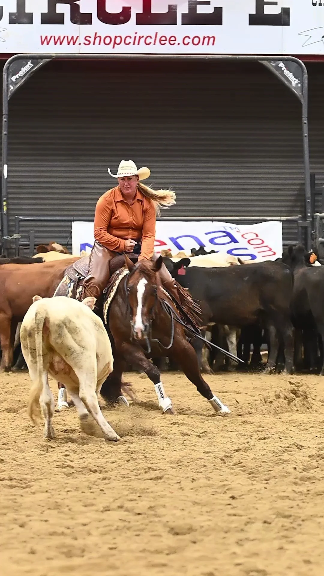 A woman in western attire riding a cutting horse in an indoor arena, surrounded by cattle in an AQHA cutting horse competition.